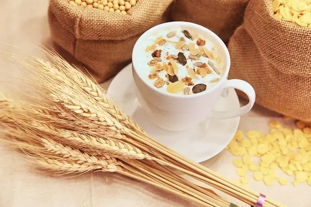 Hạt yến mạch cán dẹt nguyên chất - nguồn dinh dưỡng tuyệt vời