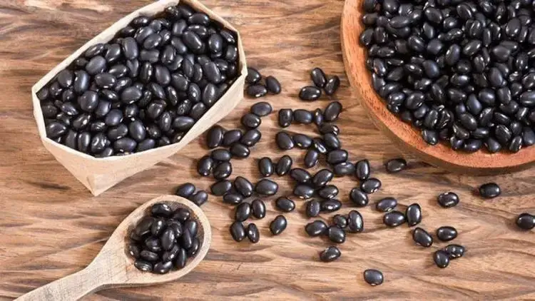Công dụng của đậu đen
